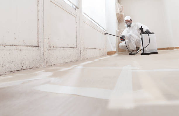 24/7 Emergency Mold Removal experts in York, PA